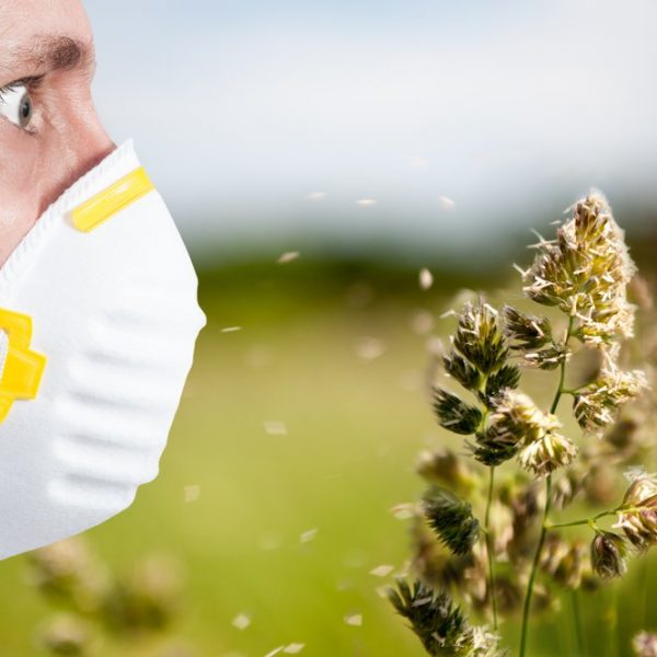 Сезонная аллергия или поллиноз: как бороться с напастью?